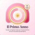 Il Primo Anno